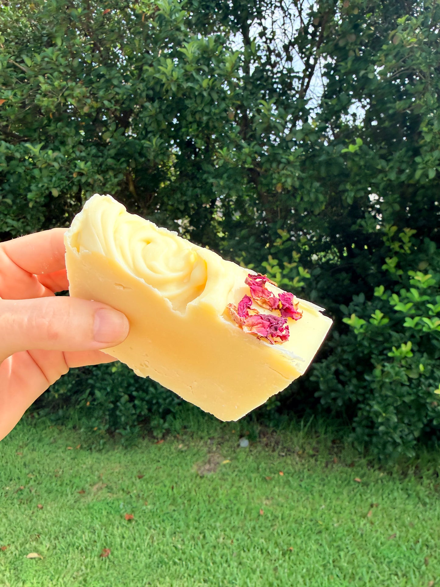 Tallow soap - Ylang Ylang